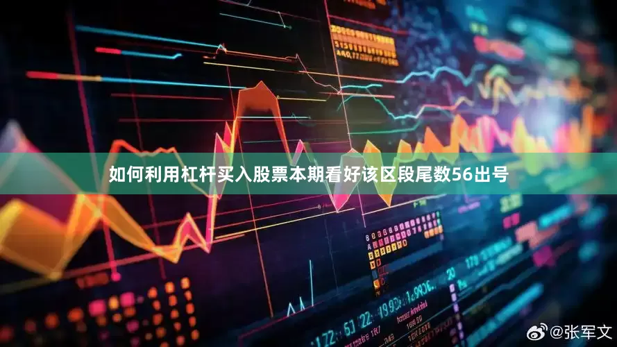 如何利用杠杆买入股票本期看好该区段尾数56出号